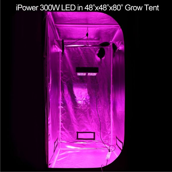 iPower 300W LED Grow Light Full Spectrum for Indoor Plants Veg and Flower