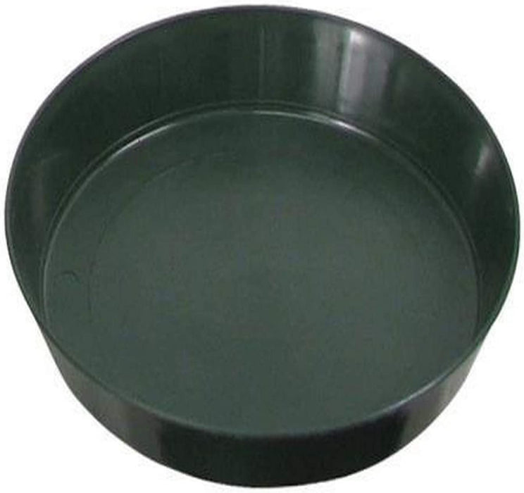 Green Premium Saucer 8, pack of 25