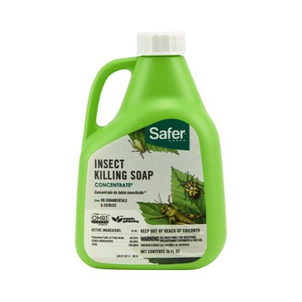 Safer Insect Killing Soap II Conc.
