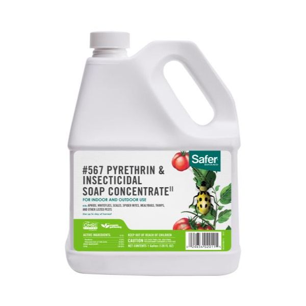 Safer Pyrethrin & Insecticidal Soap II Conc. Gallon, Pack of 4 Pieces