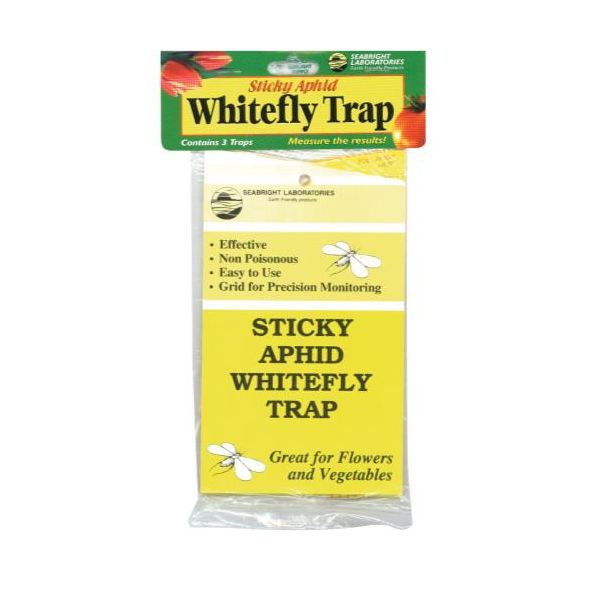 Sticky Whitefly Trap 3-Pack (1 = 24-Cs)
