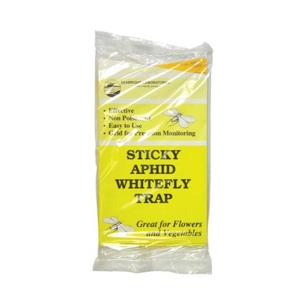 Sticky Whitefly Trap