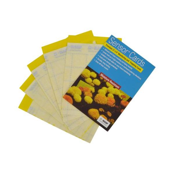 Sensor Cards Yellow Monitoring and Trapping Cards 50-Pack