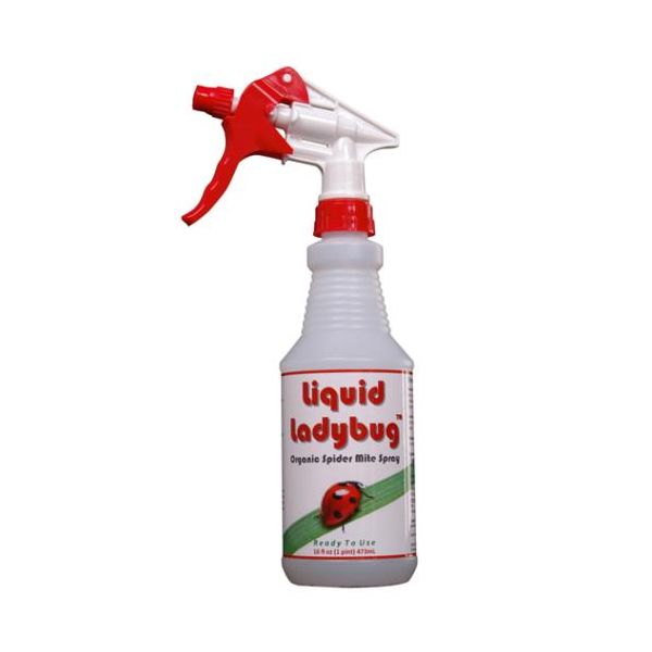 Liquid Ladybug RTU Quart