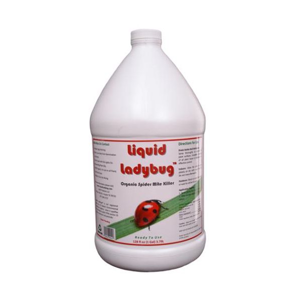 Liquid Ladybug RTU Gallon