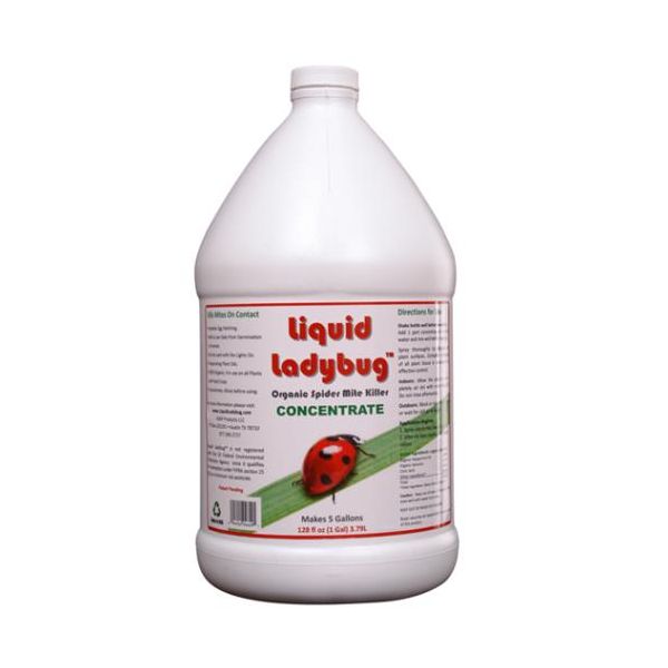 Liquid Ladybug Conc. Gallon