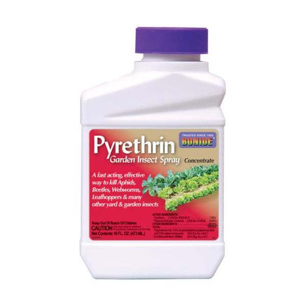 Bonide Pyrethrin Garden Insect Spray Conc. Pint