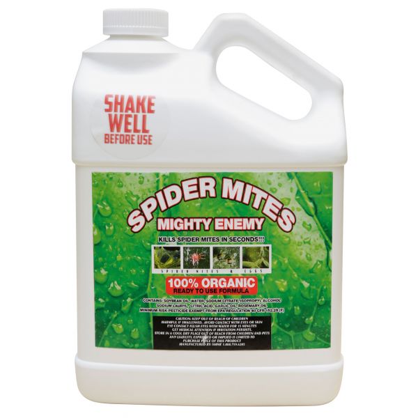 Spider Mite Mighty Enemy Gallon