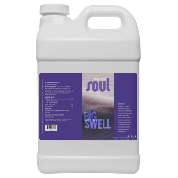 Soul Big Swell 2.5 Gallon