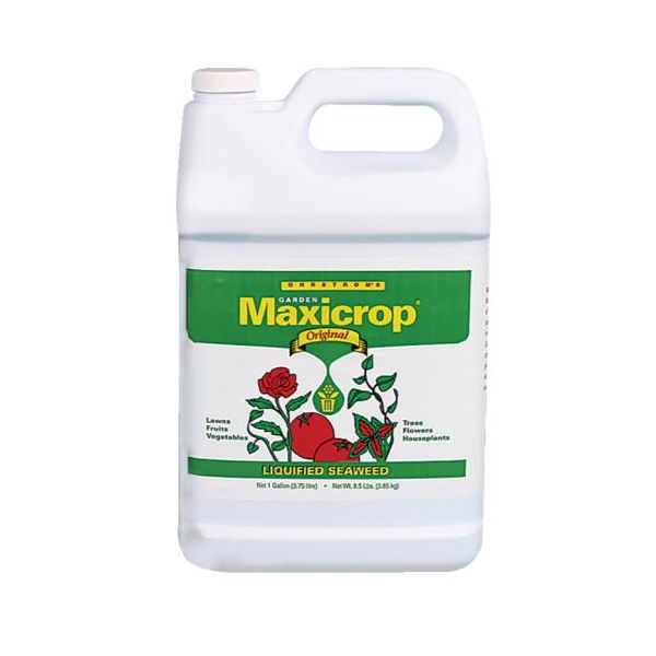 Maxicrop Original Liquid Seaweed Gallon