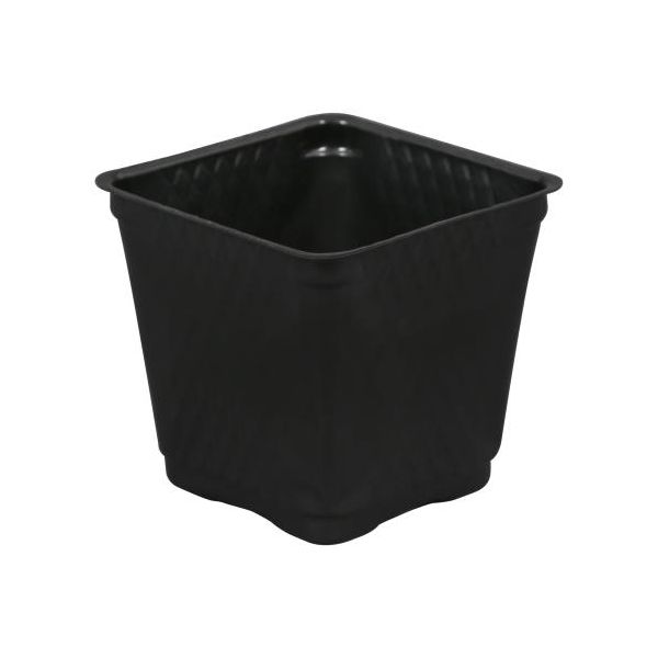 Square Plastic Pot Black 3.5 in