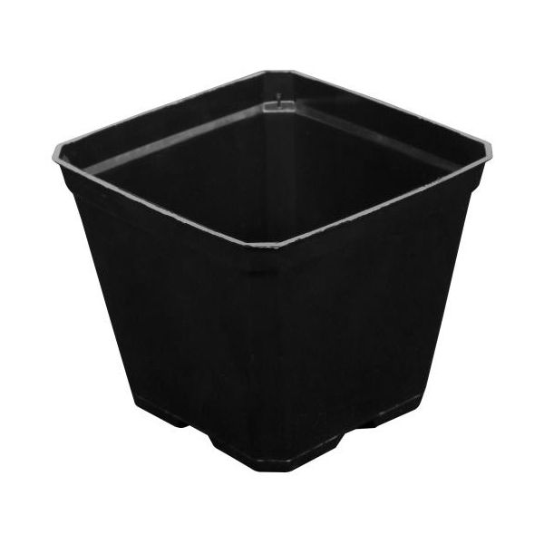 Black Plastic Pot 3.5 in x 3.5 in x 3 in