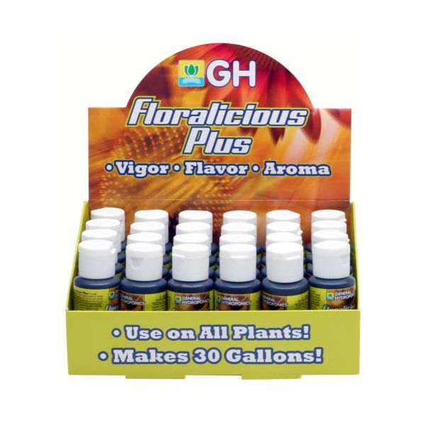 GH Floralicious Plus 1 oz Display Box, Pack of 24 Pieces