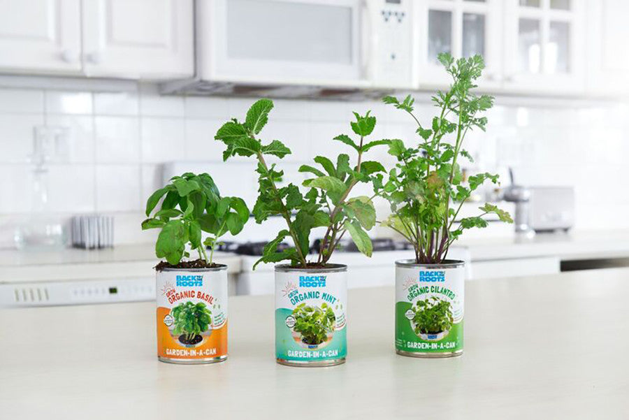 Back to the Roots Kitchen Herb Garden-Cans, Multi, 3 pk