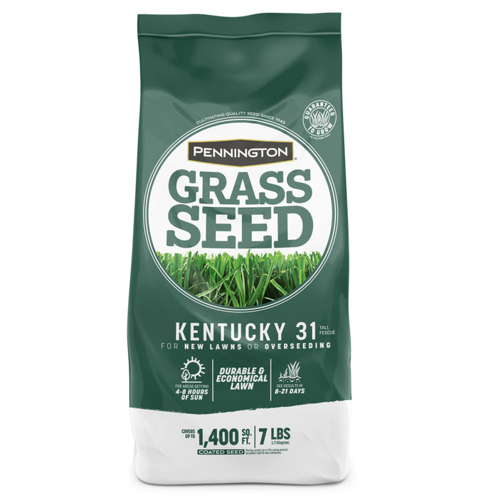Pennington Kentucky 31 Tall Fescue Penkoted Grass Seed-7 lb