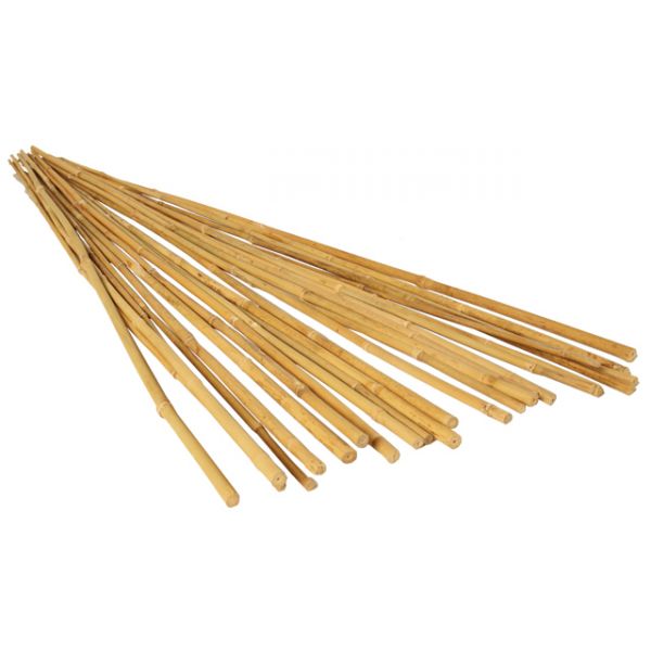 6' Bamboo Stakes, Natural, pack of 25