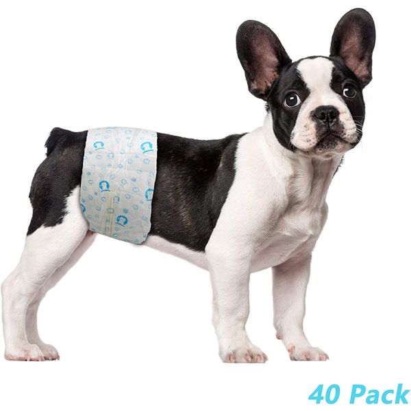 ScratchMe Disposable Male Dog Diaper, Super Absorbent and Leak-Proof Fit, Excitable Urination or Incontinence M