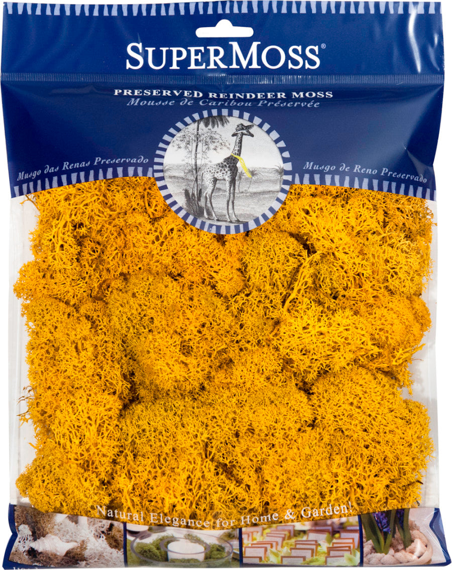 Supermoss Reindeer Moss Preserved MossMango, 4 oz