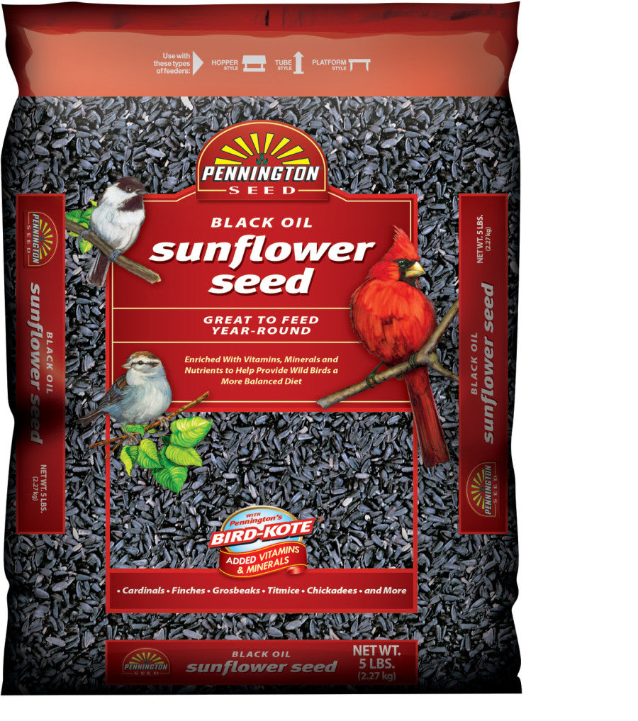 Pennington Black Oil Sunflower Bird Food5 lb
