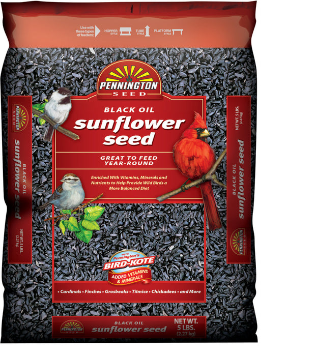 Pennington Black Oil Sunflower Bird Food-5 lb