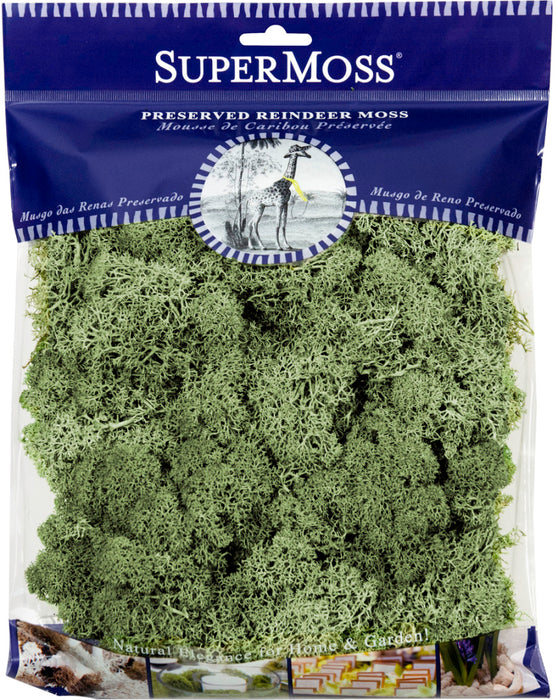 Supermoss Reindeer Moss Preserved Moss-Moss Green, 4 oz