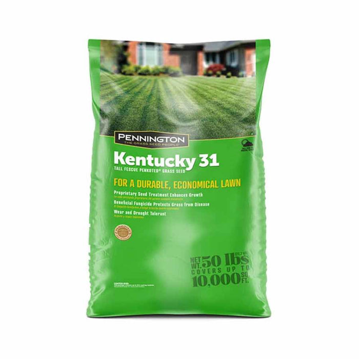Pennington Kentucky 31 Tall Fescue Penkoted Grass Seed-50 lb