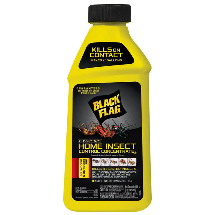 Black Flag Extreme Home Insect Control Concentrate-16 oz