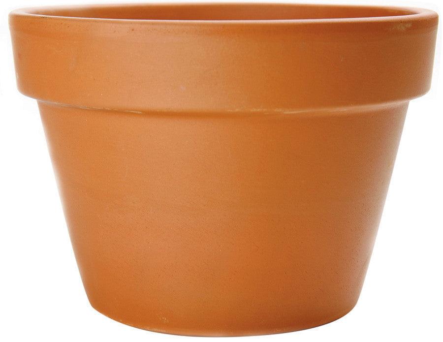 Pennington Fern Azalea Pot-Terra Cotta, 6.5 in