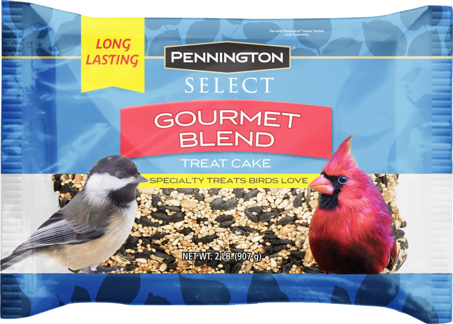 Pennington Premium Gourmet Wild Bird Cake-2 lb